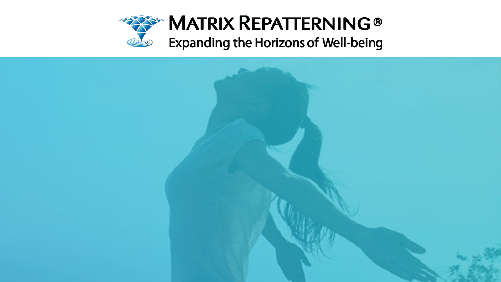 "Matrix Repatterning" Online Foundation Seminar