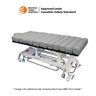 MF Series Deluxe Flat High-End Electric Massage Table